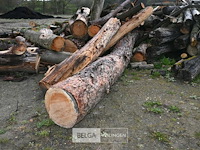 Partij brandhout - afbeelding 8 van  8
