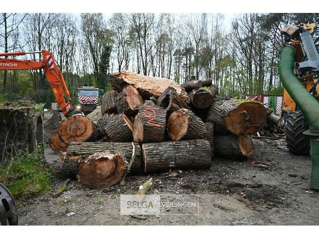 Partij brandhout - afbeelding 1 van  6