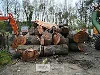 Partij brandhout - afbeelding 1 van  6