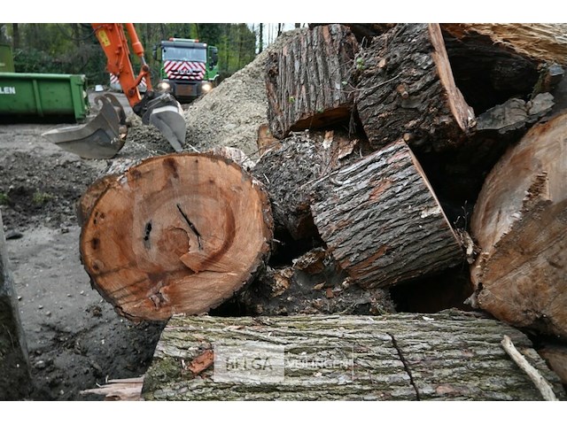 Partij brandhout - afbeelding 2 van  6