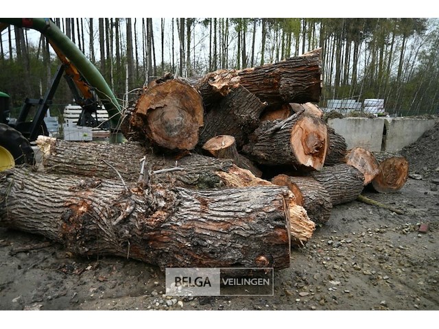 Partij brandhout - afbeelding 3 van  6