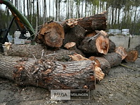 Partij brandhout - afbeelding 3 van  6