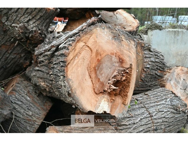 Partij brandhout - afbeelding 4 van  6