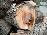 Partij brandhout - afbeelding 4 van  6