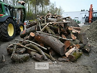 Partij brandhout - afbeelding 1 van  5