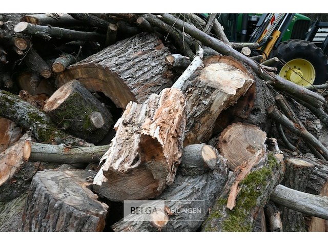 Partij brandhout - afbeelding 2 van  5