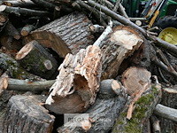 Partij brandhout - afbeelding 2 van  5