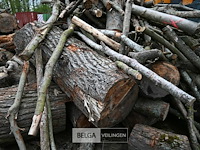 Partij brandhout - afbeelding 4 van  5