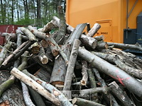 Partij brandhout - afbeelding 5 van  5