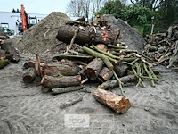 Partij brandhout - afbeelding 1 van  6