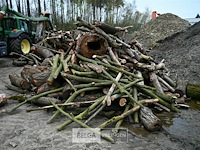 Partij brandhout - afbeelding 2 van  6