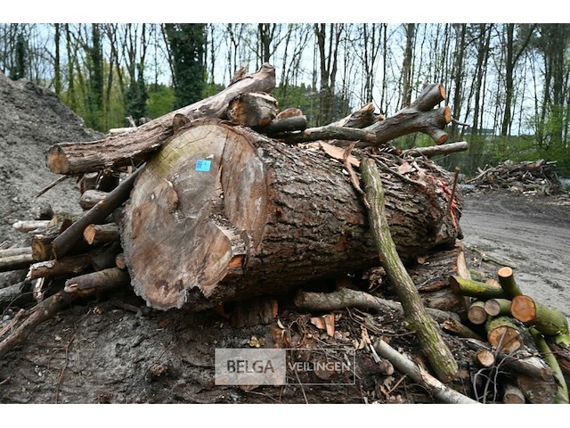 Partij brandhout - afbeelding 5 van  6