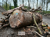 Partij brandhout - afbeelding 5 van  6