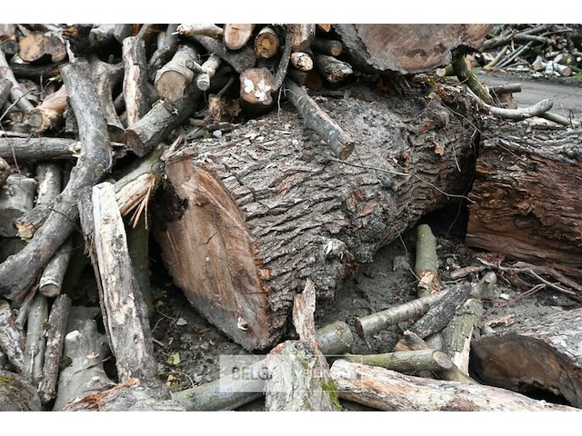 Partij brandhout - afbeelding 6 van  6