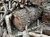 Partij brandhout - afbeelding 6 van  6