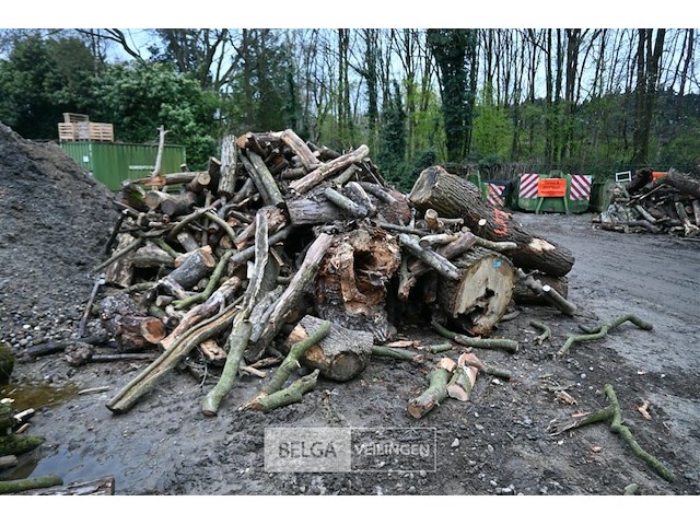 Partij brandhout - afbeelding 1 van  5