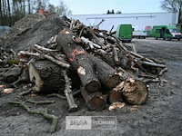 Partij brandhout - afbeelding 2 van  5