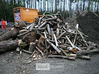 Partij brandhout - afbeelding 3 van  5
