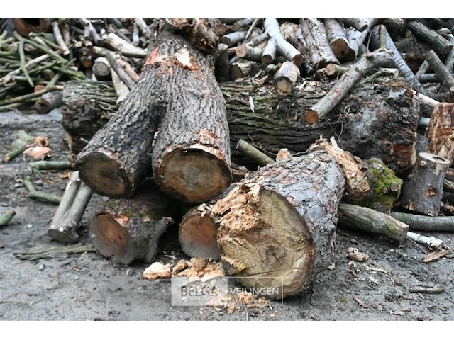 Partij brandhout - afbeelding 4 van  5