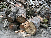 Partij brandhout - afbeelding 4 van  5