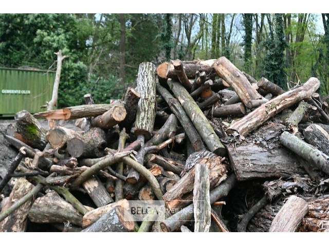 Partij brandhout - afbeelding 5 van  5