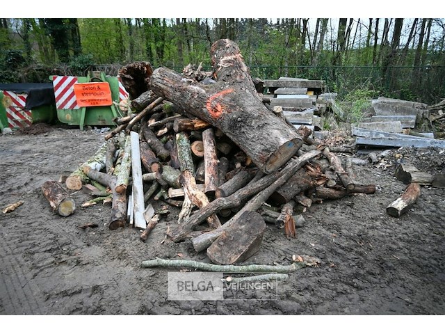 Partij brandhout - afbeelding 1 van  5