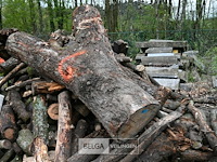 Partij brandhout - afbeelding 5 van  5