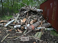 Partij brandhout - afbeelding 1 van  5