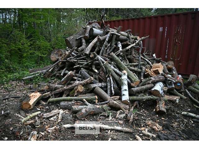 Partij brandhout - afbeelding 2 van  5