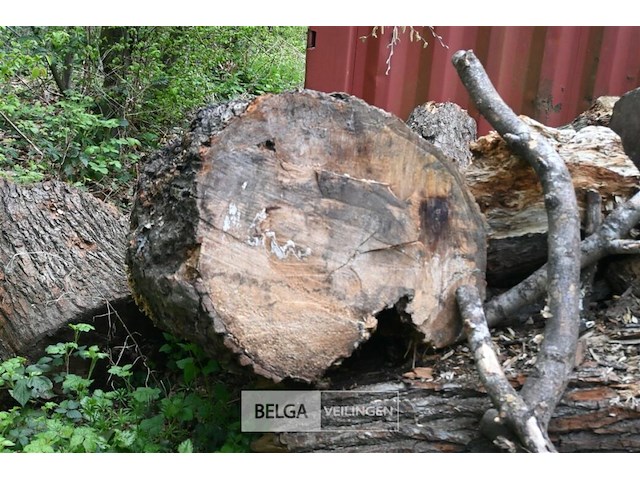 Partij brandhout - afbeelding 4 van  5