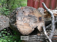 Partij brandhout - afbeelding 4 van  5