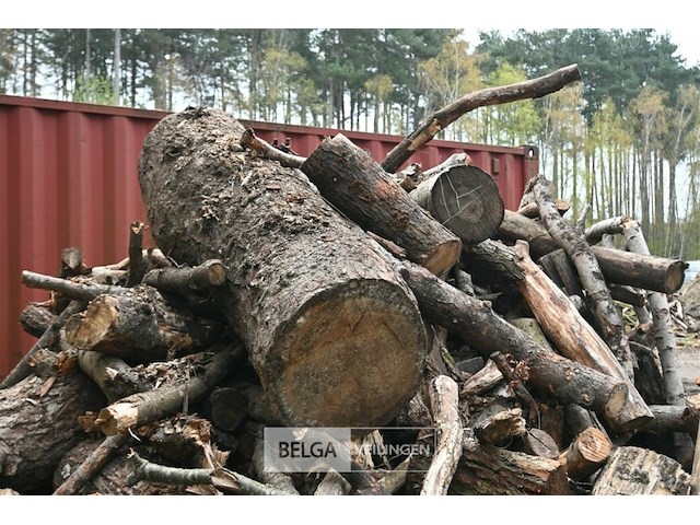 Partij brandhout - afbeelding 5 van  5