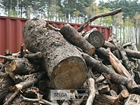 Partij brandhout - afbeelding 5 van  5