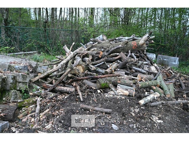Partij brandhout - afbeelding 1 van  6