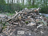 Partij brandhout - afbeelding 1 van  6