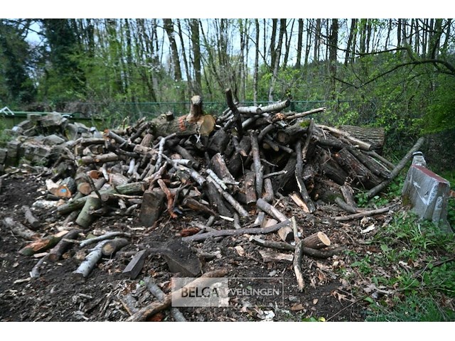 Partij brandhout - afbeelding 2 van  6