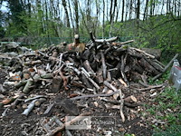 Partij brandhout - afbeelding 2 van  6