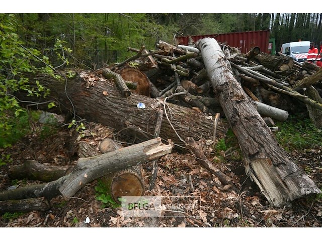 Partij brandhout - afbeelding 4 van  6