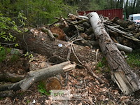 Partij brandhout - afbeelding 4 van  6