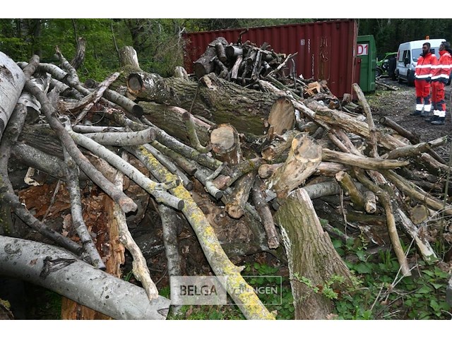 Partij brandhout - afbeelding 5 van  6