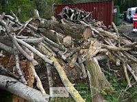 Partij brandhout - afbeelding 5 van  6