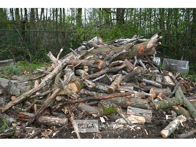 Partij brandhout - afbeelding 6 van  6