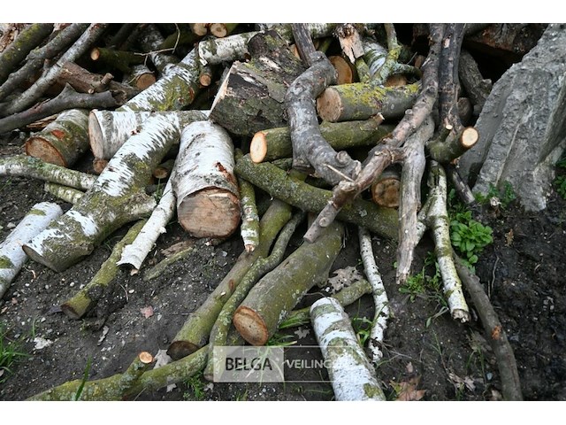 Partij brandhout - afbeelding 3 van  5