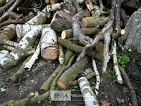 Partij brandhout - afbeelding 3 van  5