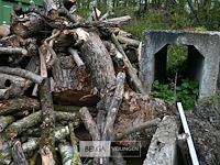 Partij brandhout - afbeelding 4 van  5