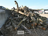 Partij brandhout - afbeelding 2 van  4