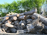 Partij brandhout - afbeelding 4 van  4