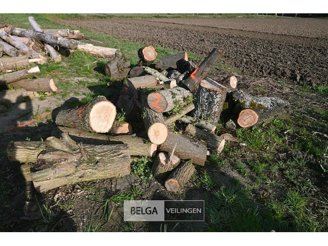Partij brandhout - afbeelding 2 van  4