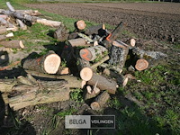 Partij brandhout - afbeelding 2 van  4