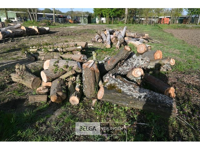 Partij brandhout - afbeelding 3 van  4